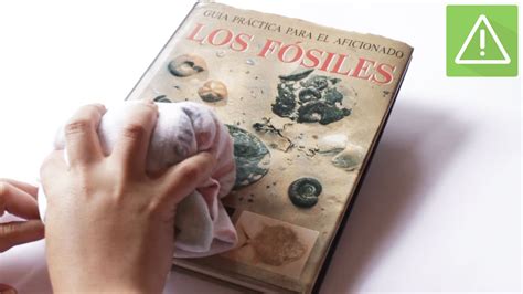 How to Clean Dusty Books: A Guide with Multiple Perspectives